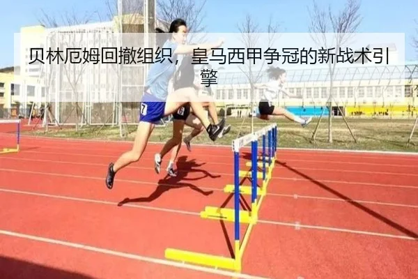 bei-lin-e-mu-hui-che-zu-zhi-huang-ma-xi-jia-zheng-guan-de-xin-zhan-shu-yin-qing-2-571.jpg