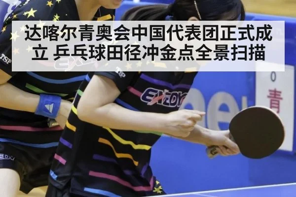 达喀尔青奥会中国代表团正式成立 乒乓球田径冲金点全景扫描